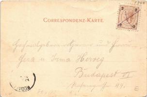 1899 (Vorläufer) Rattenberg (Tirol), Schloss Ruine / castle ruins. Jak. Armütter Art Nouveau, floral...