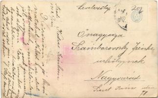 Boldog újévet! Léghajó malacokkal / New Year greeting, airship with pigs (EK)