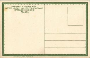 Die Wacht am Isonzo. Sr. Kaiserliche Hoheit d. Hochwürdigsten Herrn Generalobersten Erzherzog Eugen ...