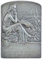 Német Birodalom 1903. "Franz von Lenbachnak szülővárosától, Schrobenhausentől" ezüstözött ...