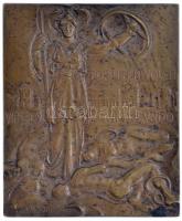 Olaszország 1905. "Guido Baccelli" Br plakett. Szign.: Edoardo de Albertis (124,54g/65x54m...