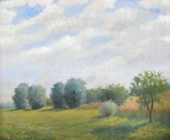 Szemenyei Ferenc (1894-1990): Zöldellő táj. Olaj, vászon, jelzett, fa keretben, 50×60 cm