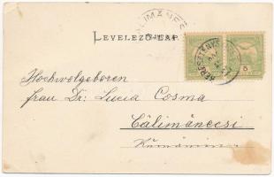 1904 Szebenjuharos, Hohe Rinne, Paltinis; gyógyház. Ritka erdélyi hotelposta! / Tannhof. Kurhaus auf...