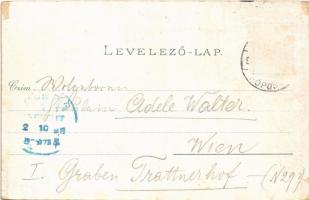 1896 (Vorläufer) Budapest, Fővárosi vigadó, Deák, Petőfi és Eötvös szobor, Tudományos akadémia. Ottm...