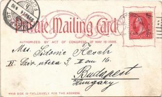 1899 New York, Brooklyn Bridge, Promenade, steamship (fa)