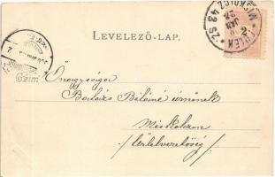 1900 Sajószentpéter, Üveggyár + "MISKOLCZ-FÜLEK 42. SZ." mozgóposta (EK)