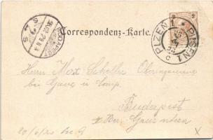 1898 Plzen, Pilsen; Totalansicht / general view (EK)