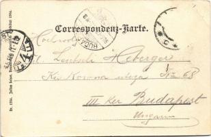 1905 Ternitz, general view (EB)