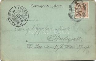 1899 Wien, Vienna, Bécs; K.K. Hochschule für Bodenkultur (EM)