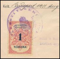 1911 Bp., Születési anyakönyvi kivonat izraelita vallású egyén számára