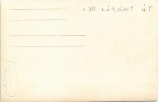 Budapest XII. Istenhegy, Lóránt úti villák. Pedagogiai Filmgyár rt. photo