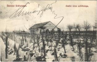 1913 Erdőtelek, Csathó Géza szőlőtelepe télen