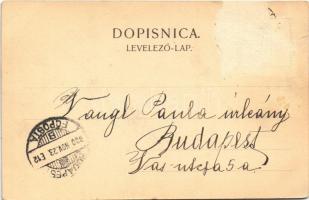 1900 Zagreb, Zágráb; Dvoriste palace bar. Vraniczanya / Vranyczany Palace, courtyard, garden (Rb)