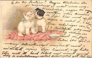 1899 Cat and dog. Meissner & Buch Postkarten Serie 1042. Katz und Hund in frohem Bund litho (fl)
