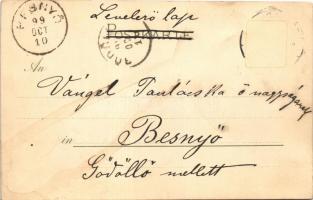 1899 Cat and dog. Meissner & Buch Postkarten Serie 1042. "Katz und Hund in frohem Bund&quot...