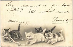 1901 Cats. Schmidt Edgar Serie No. 242. litho (lyuk / pinhole)