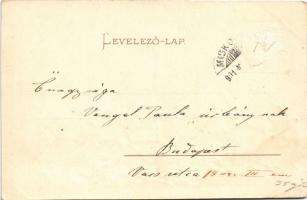 1901 Cats. Schmidt Edgar Serie No. 242. litho (lyuk / pinhole)