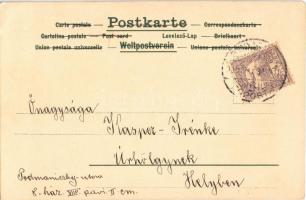 Lady art postcard. No. 744. Art Nouveau, floral, litho