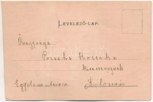 Emlékkönyv / Greeting art postcard, memorial book. Art Nouveau, Emb. litho (vágott / cut)