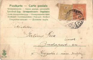 1902 Boldog Újévet! / New Year greeting art postcard, lady with pigs and horseshoe (EK)