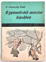 Dr. Jeszenszky Árpád: A gyümölcsfák metszése képekben. Bp., 1960. Mezőgazdasági kiadó. Papírkötésben, rengeteg képpel.