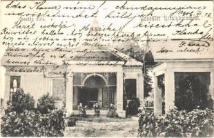 1906 Királyhalom, Királyhalma, Bácsszőlős, Backi Vinogradi; Ormódy villa