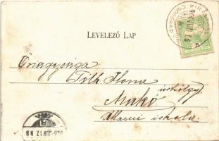 1906 Királyhalom, Királyhalma, Bácsszőlős, Backi Vinogradi; Ormódy villa