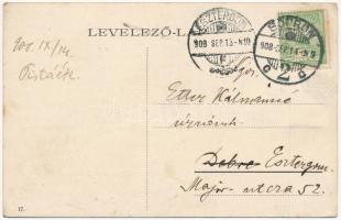 1908 Sopron, Színház utca, Peck János kávéháza, A hazai ált. biztosító r. társaság főügynöksége, Fra...