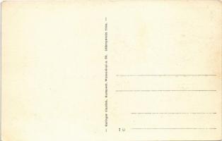 Alsópetény, Prónai és Báró Andreánsky kastély, Római katolikus iskola, községháza, Hangya szövetkeze...