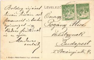 Márianosztra, Mária-Nosztra; plébánia, lovaskocsi