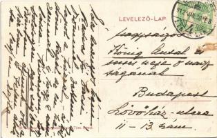 1912 Budapest XI. Kelenföld, Gróf Zajné Bárdy Gabi villája