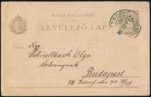 1891 Ceruzával rajzolt judaika, antiszemita levelezőlap, "Néhány sztropkói typus! Ugye szépek? ...