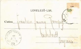 1903 Budapest I. Bomba tér (ma Batthyány tér), Budai vásárcsarnok, Wirth Antal üzlete. Divald Károly...