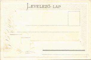 Győr, Városház. Szecessziós dombornyomott címeres litho. Nitsmann J. Passepartoutkarte Art Nouveau, ...