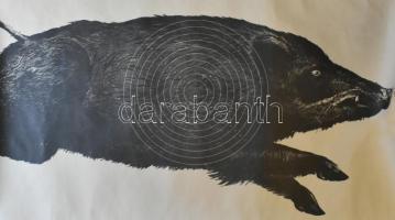 2 db nagy méretű vaddisznót ábrázoló céltábla 70x90 cm