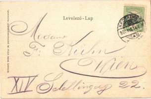1901 Kecskemét, Szentháromság szobor. Schwartz Soma kiadása, Szecessziós magyar zászló, Art Nouveau,...