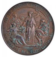 Ausztria 1877. "Martin Ritter von Cassian, a DDSG (Császári és Királyi Duna Gőzhajózási Társasá...