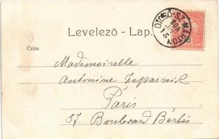 1905 Dicsőszentmárton, Tarnaveni, Diciosanmartin; Erzsébet út, Bokor Farkas üzlete. Dosztál Kálmán k...