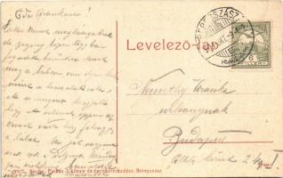 1909 Beregszász, Beregovo, Berehove; Kossuth Lajos tér, Farkas J. és Kató Albert üzlete, létra, keré...