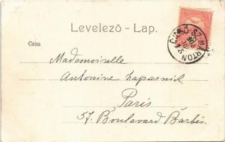 1905 Dicsőszentmárton, Tarnaveni, Diciosanmartin; Vármegyeház, Bethlen Gábor utca. Dosztál Kálmán ki...