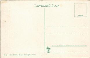 Zsolna, Zilina; M. kir. állami polgári leányiskola. Biel L. 28-1917. / girl school