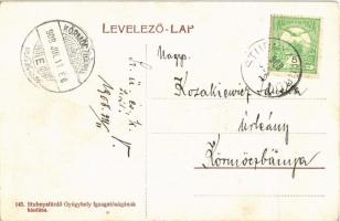 1908 Stubnyafürdő, Túróchévíz, Stubnianske Teplice, Turcianske Teplice; forrás, erdei ház, fényképés...