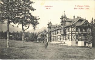 Matlárháza, Matliary, Tatranské Matliare (Magas-Tátra, Vysoké Tatry); szállók, villák. Divald Károly 1826-1909. / hotels, villas
