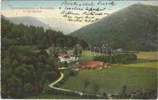 1908 Trencsénteplic, Trencianske Teplice; a Baracskán. Wertheim Zsigmond kiadása / Auf der Baracska / general view (EK)