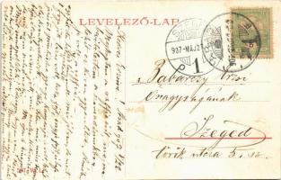 1907 Arad, Baross parki részlet, dohány és szivar eladás, kioszk. W.L. 507. / park, kiosk, tobacco s...