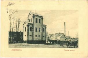 Zsombolya, Jimbolia; Tűzoltó torony, malom. W.L. Bp. 6648. Bundy Ferenc kiadása 1910-13. / firefighters tower, mill (EK)