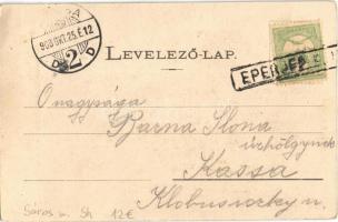 1903 Szekcsőalja, Siba; Népcsoport a szekcsői járásból. Sáros vármegyei népviselet / Upper Hungarian...