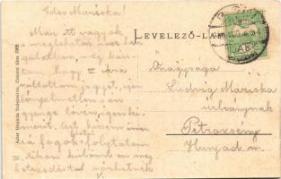 1910 Piski, Simeria; Arany kotrógép. Adler fényirda 1909. / gold excavator, dredger