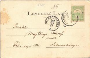 1907 Gyergyószentmiklós, Gheorgheni; Csendőrségi laktanya. Kricsa Péter kiadása / gendarme barracks ...