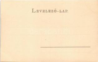 Kolozsvár, Cluj, Klausenburg; vashíd, utca, gyógyszertár, Phönix, Wertheimer Vilmos üzlete / bridge,...